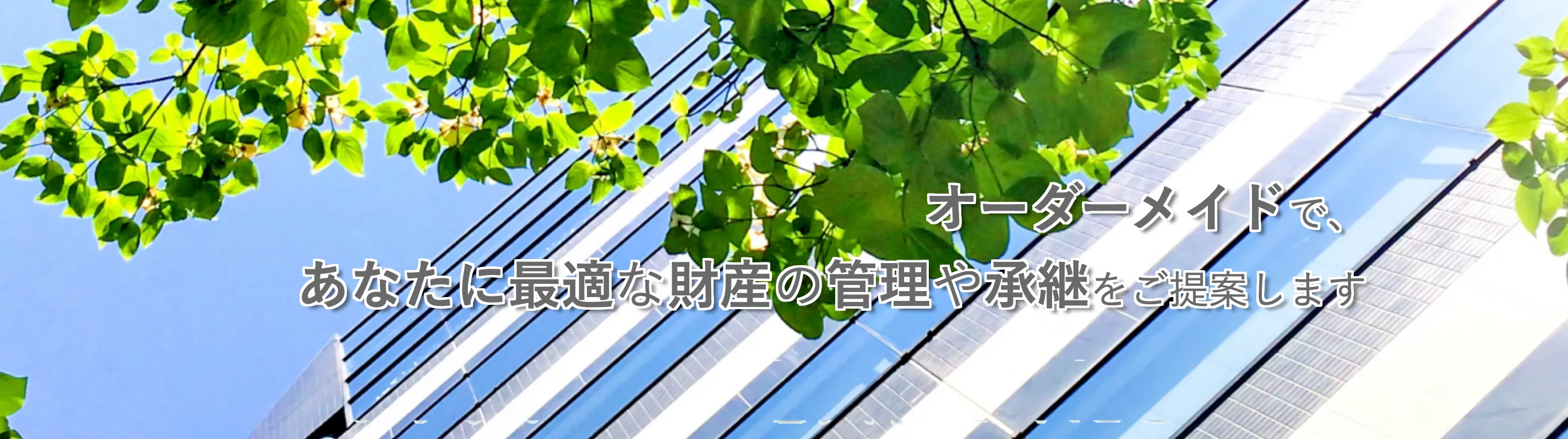 司法書士法人橋本事務所
